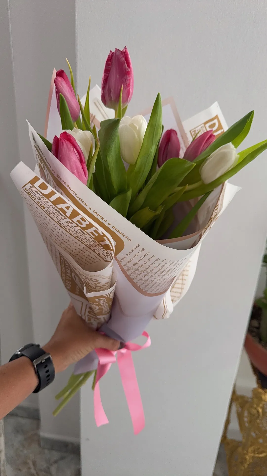 Tulipanes
